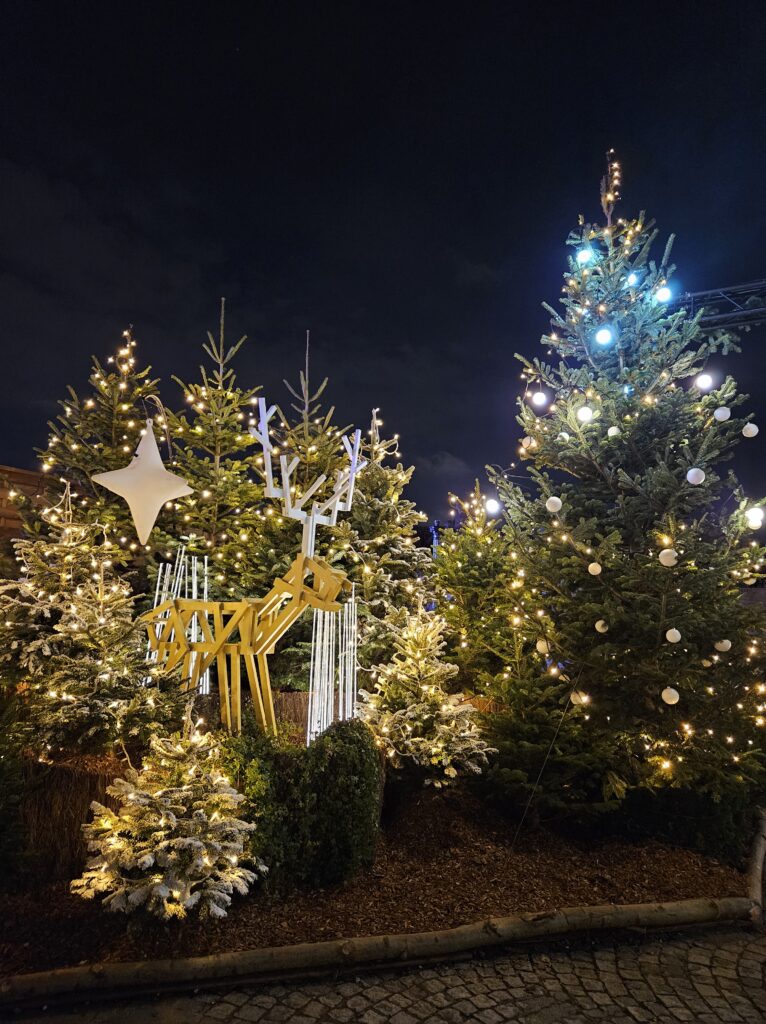 A nightime picture of the Christmas trees on Place de la Concorde