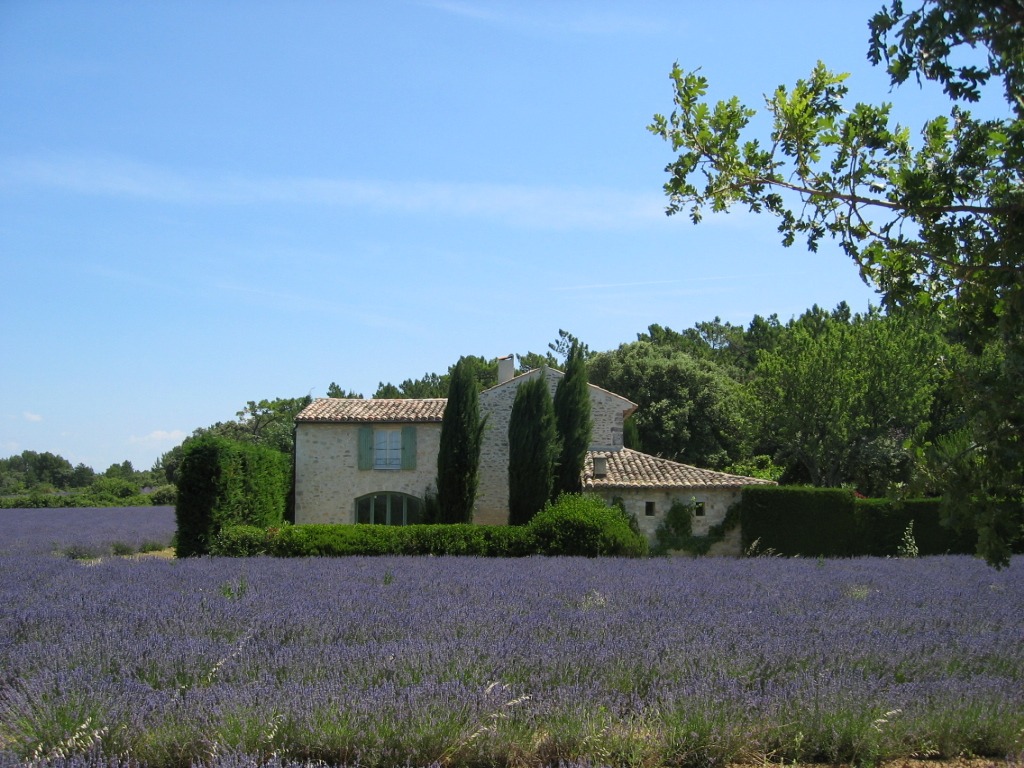 Example of a Mas in Provence, with a lavender field in front.